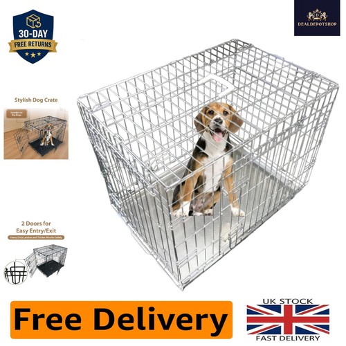 Secure small dog - dog,