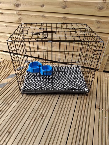 Brand new small dog - new, dog/