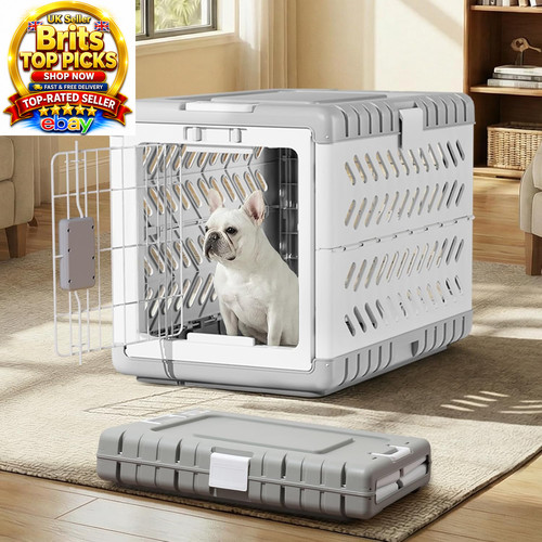 Collapsible dog crate - crate, medium