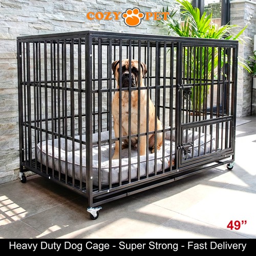 Cozy pet heavy - pet, duty