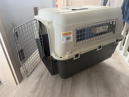 Airline approved cat dog pet - airline,