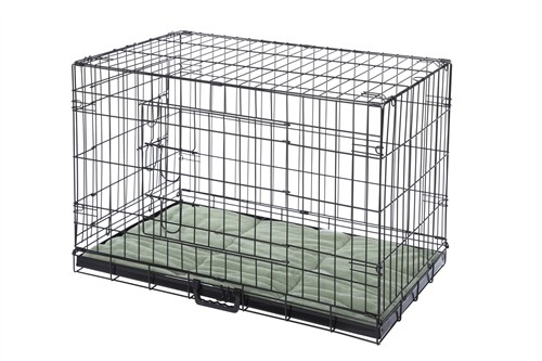 Confidence pet dog - confidence, 2