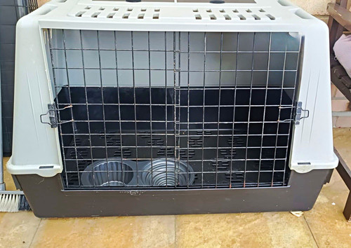 Hard sided plastic dog travel - dog,