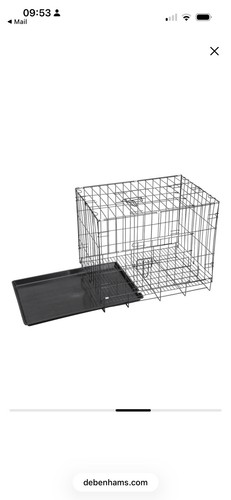 Brand new puppy small dog - small,