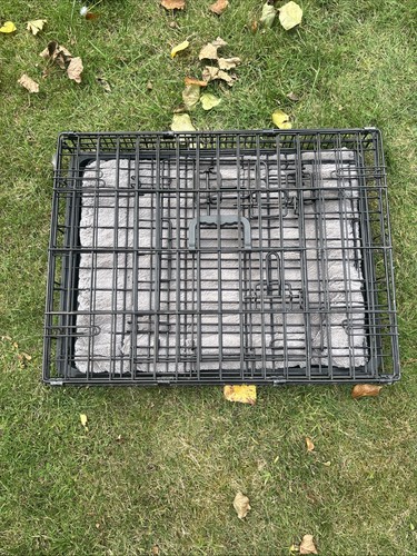 Dog crate - dog,