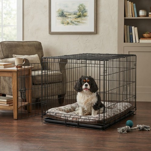 Lightweight easy to assemble - easy,