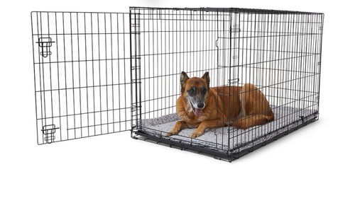 Pets home single - at,