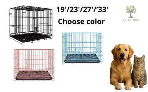 Dog cat puppy - dog,