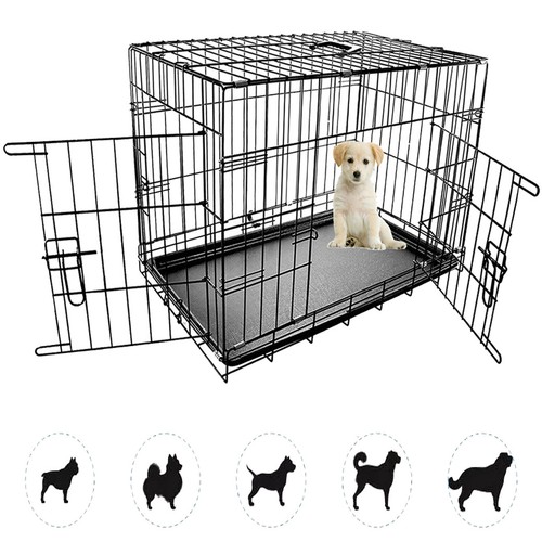 Dog pet training - dog, transport