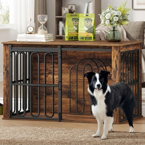 Chic brown dog - chic,