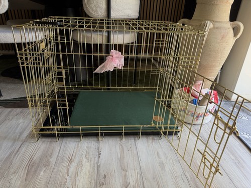 Medium size golden - golden, crate